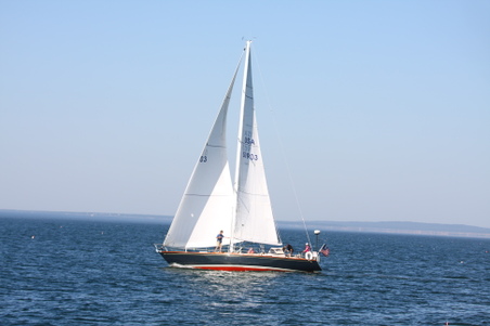 Enlarge photo 221