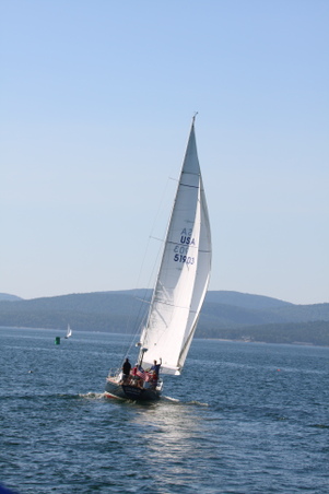 Enlarge photo 225