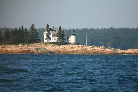 Enlarge photo 228
