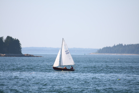 Enlarge photo 232