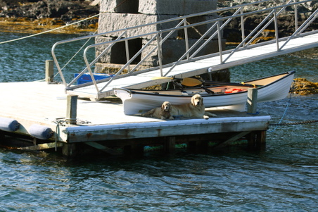 Enlarge photo 234