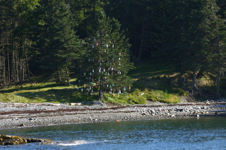 Enlarge photo 236