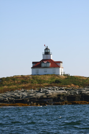 Enlarge photo 239