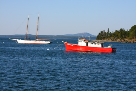 Enlarge photo 242