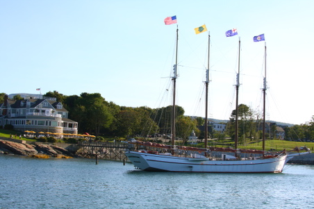 Enlarge photo 245