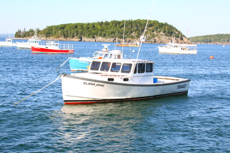 Enlarge photo 247