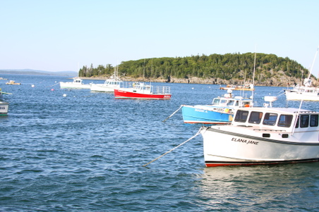 Enlarge photo 248