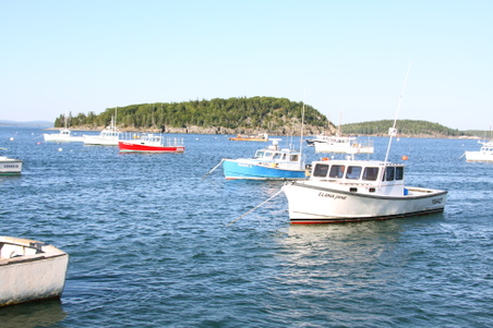 Enlarge photo 249