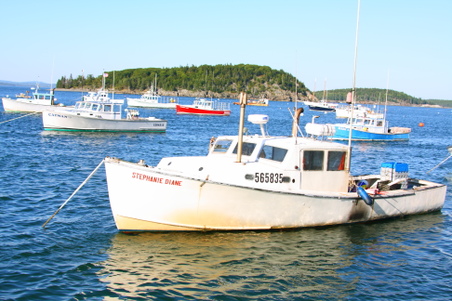 Enlarge photo 250