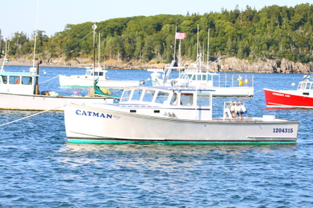 Enlarge photo 251
