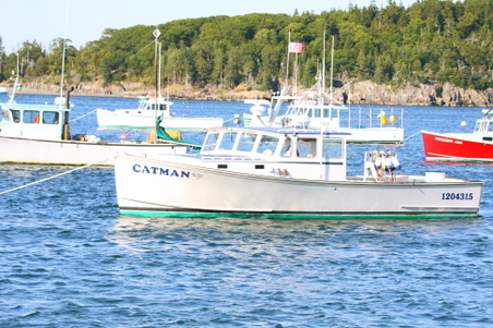 Enlarge photo 252