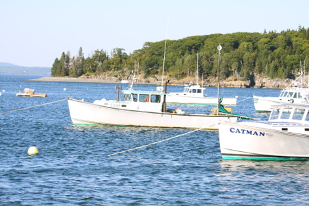 Enlarge photo 253
