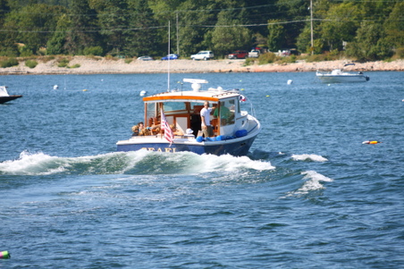Enlarge photo 255