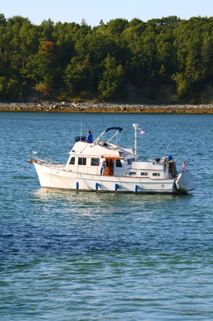 Enlarge photo 259