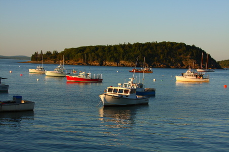 Enlarge photo 262