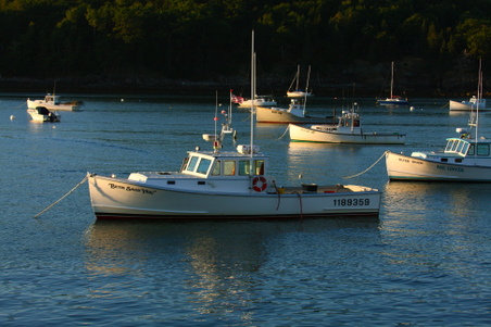 Enlarge photo 264