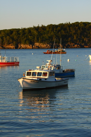 Enlarge photo 267