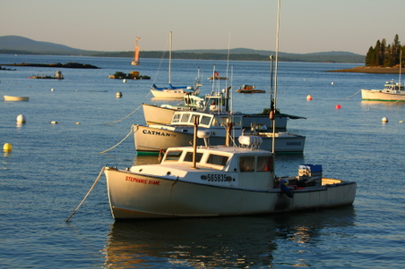 Enlarge photo 268