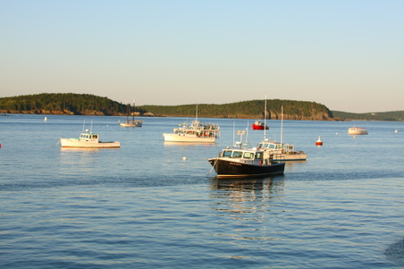 Enlarge photo 269