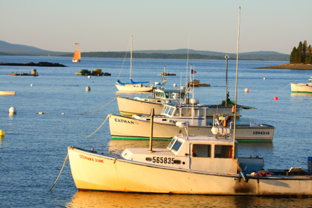 Enlarge photo 270