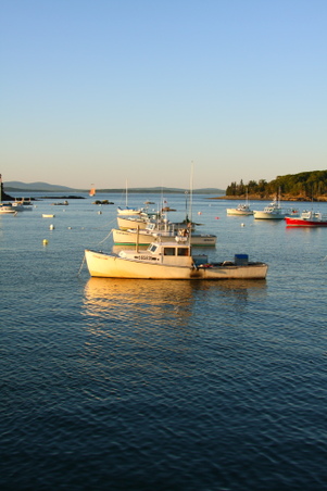Enlarge photo 271