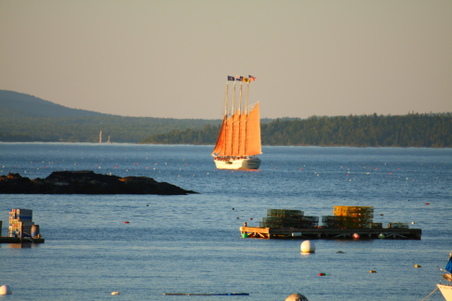 Enlarge photo 273