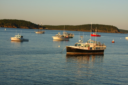 Enlarge photo 274