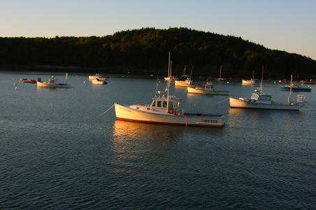 Enlarge photo 276