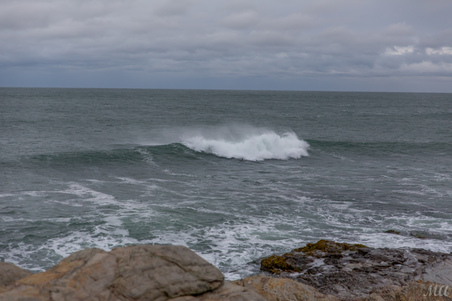 Enlarge photo 18