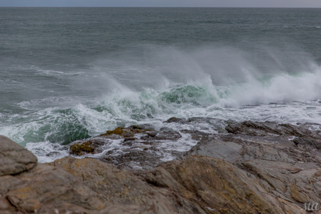 Enlarge photo 20