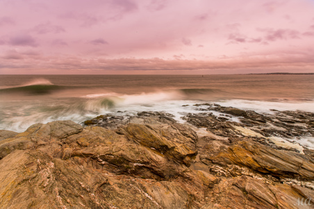 Enlarge photo 35