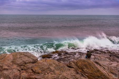 Enlarge photo 54