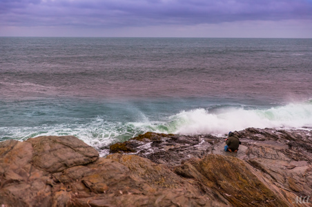 Enlarge photo 55
