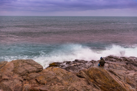Enlarge photo 56