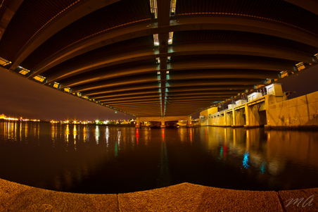 Enlarge photo 85