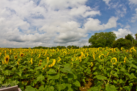 Enlarge photo 14