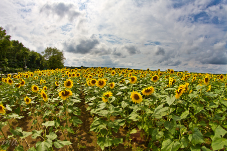Enlarge photo 20