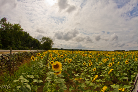 Enlarge photo 25