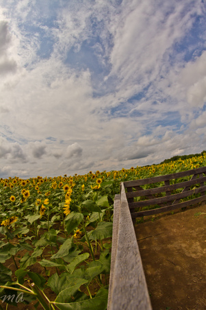 Enlarge photo 26