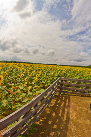 Enlarge photo 27