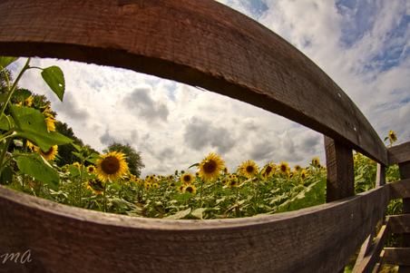 Enlarge photo 33
