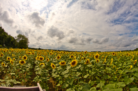Enlarge photo 34