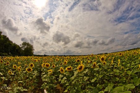 Enlarge photo 35