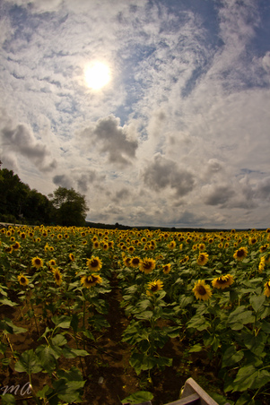 Enlarge photo 36