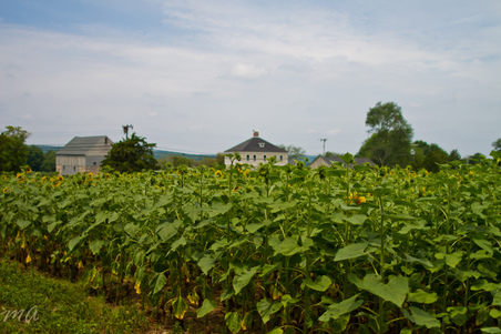 Enlarge photo 18