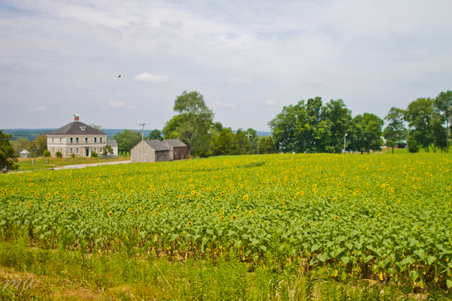 Enlarge photo 26