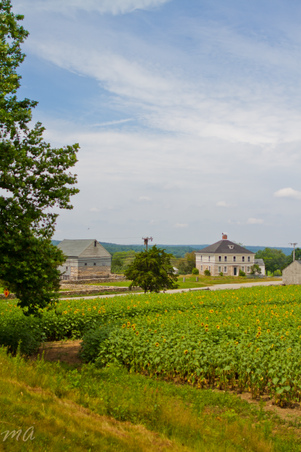 Enlarge photo 28