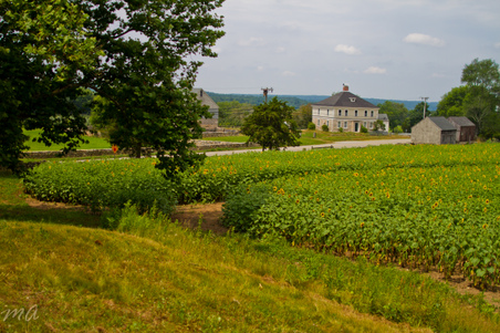 Enlarge photo 30