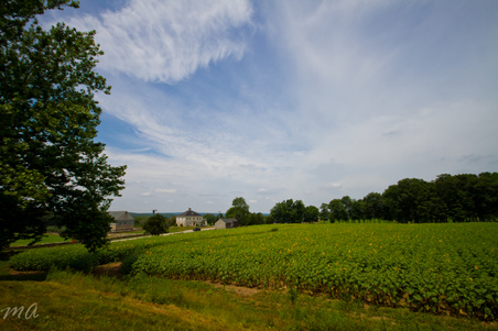 Enlarge photo 32