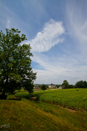 Enlarge photo 33